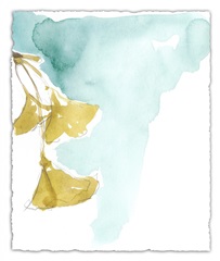 Ginkgo on Dusty Teal IX