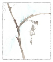 Ginkgo on Dusty Teal VIII