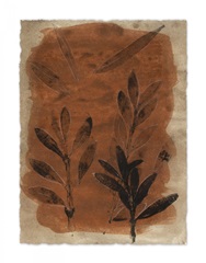 Italian Botanical III