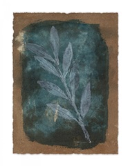 Italian Botanical IV