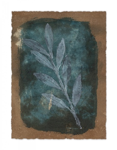 Italian Botanical IV