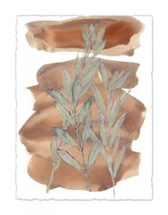 Italian Botanical VIII