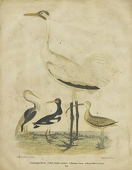 Embellished Crane and Heron