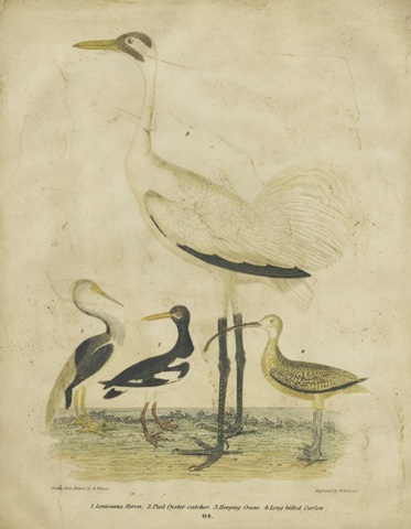 Embellished Crane and Heron