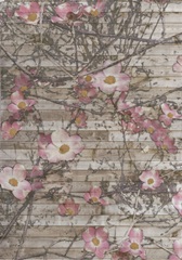 Embellished Dogwood Dance I