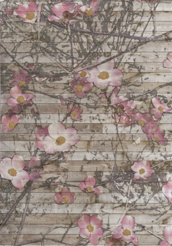 Embellished Dogwood Dance I