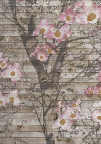 Embellished Dogwood Dance II