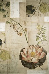 Embellished Field Notes Collage I