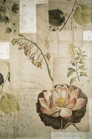 Embellished Field Notes Collage I