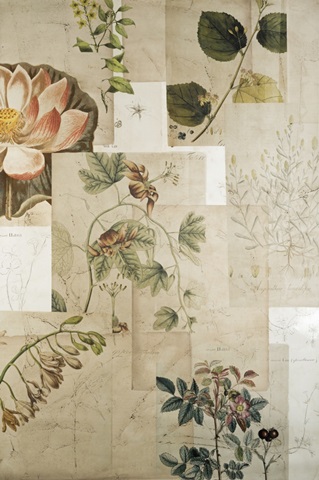 Embellished Field Notes Collage II