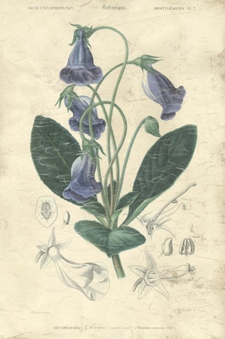 Embellished Floral Botanique I