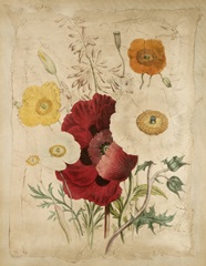 Embellished Garden Bouquet II