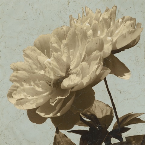 Antiqued Floral and Sky I