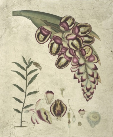 Aubergine Florals II