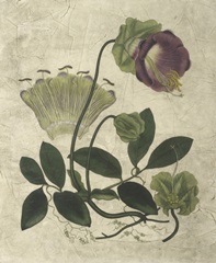 Aubergine Florals IV