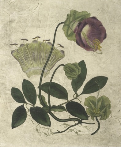 Aubergine Florals IV