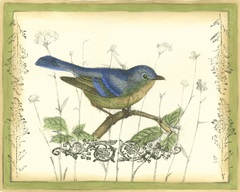 Bird and Wildflowers II