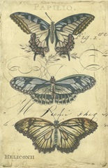 Butterfly Ephemera I