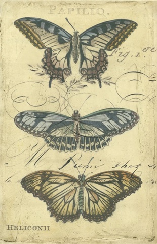 Butterfly Ephemera I