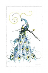 Aquarelle Peacock II