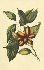 Crackled Flourishing Foliage II