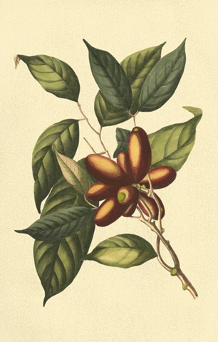 Crackled Flourishing Foliage II