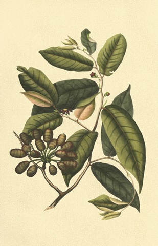 Crackled Flourishing Foliage III