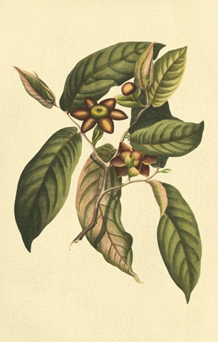 Crackled Flourishing Foliage IV