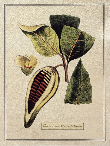 Crackled Paradise Foliage I