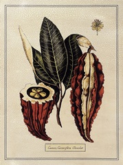 Crackled Paradise Foliage IV