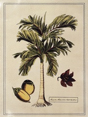 Crackled Paradise Palm I