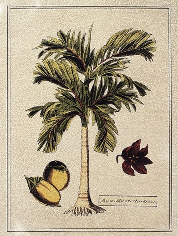 Crackled Paradise Palm I