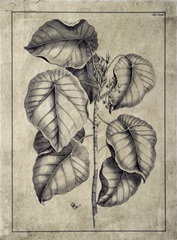 Embellished Antique Foliage IV