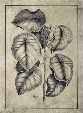 Embellished Antique Foliage IV