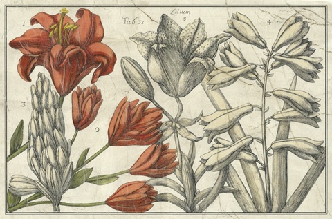 Embellished Arena Botanical I