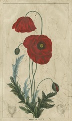 Embellished Crimson Bloom II