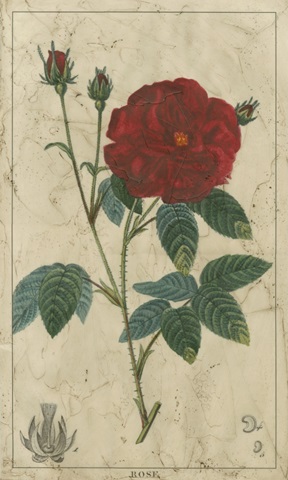 Embellished Crimson Bloom III