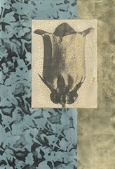 Embellished Nature's Vignette I