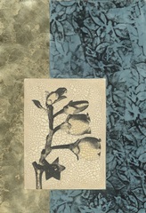 Embellished Nature's Vignette IV