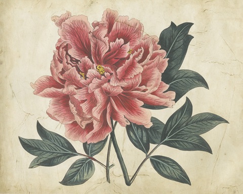 Embellished Peony Garden I