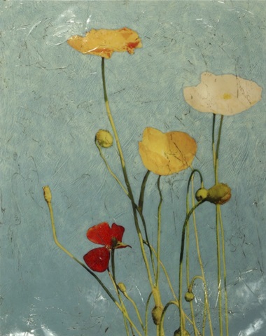 Embellished Poppies I