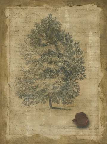 Family Tree I