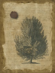 Family Tree II