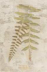 Fern Fresco II