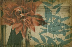 Floral Anthology I