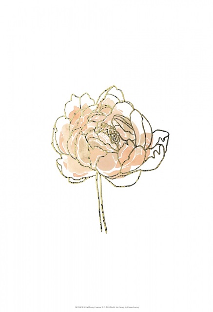 Foil Peony Contour II