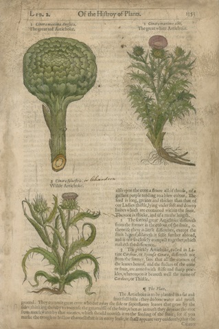Gardener's Journal I