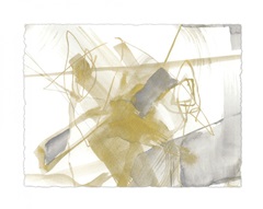 Gold and Grey Exploration V