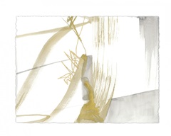 Gold and Grey Exploration VI