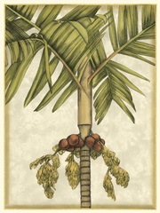 Graphic Palms II